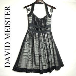 DAVID Meister Silk Empire Waist Baby Doll Style Dress Sz 2 Black and White